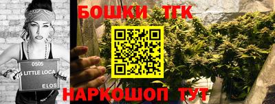 крисы Камень-на-Оби