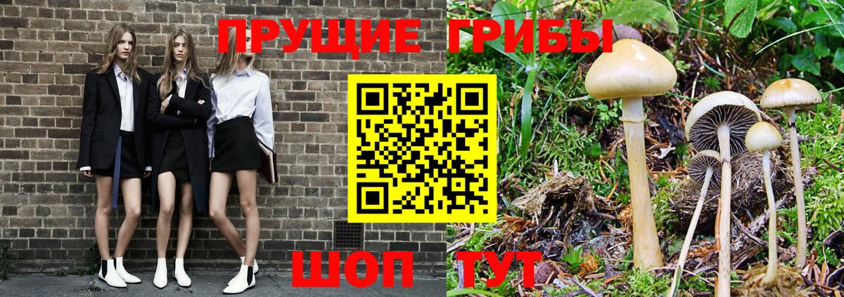 Галлюциногенные грибы мицелий  Псилоцибиновые грибы ЛСД  Вход с VPN  Балашиха 